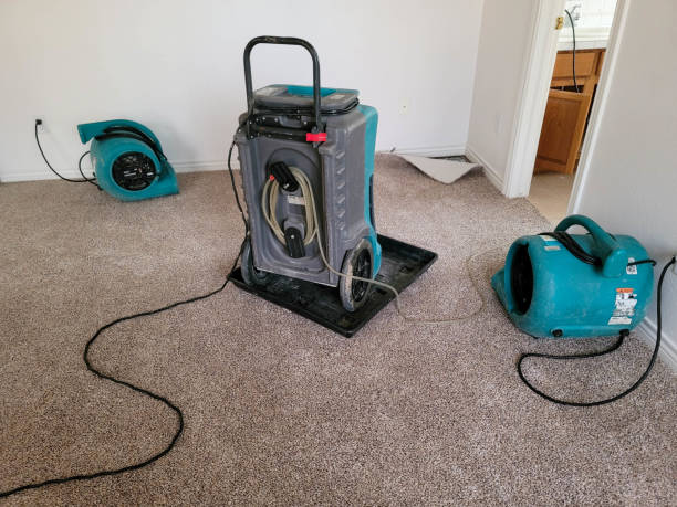 Best Flood restoration services  in Oswego, IL