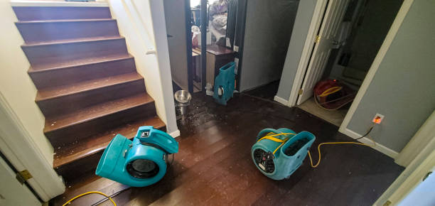 Best Flooded house restoration  in Oswego, IL