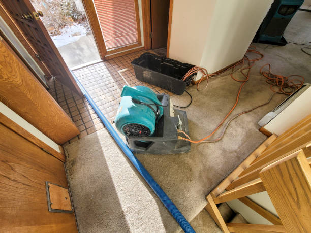 Best Flood damage cleanup  in Oswego, IL