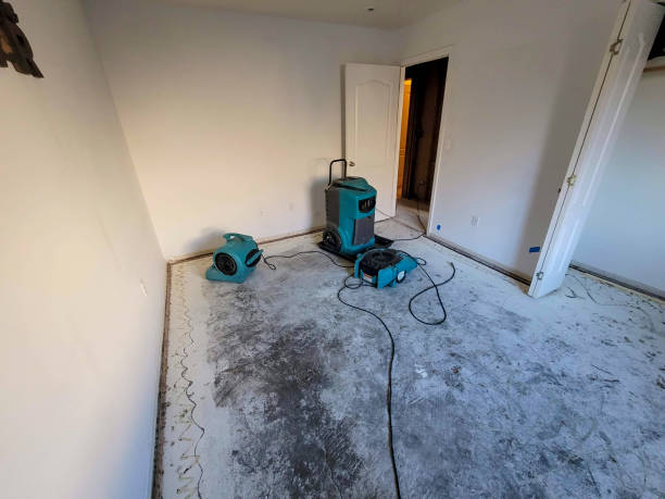 Best Basement water damage restoration  in Oswego, IL