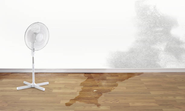 Best Water damage restoration near me  in Oswego, IL