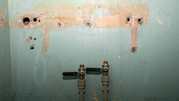 Best Basement water damage restoration  in Oswego, IL